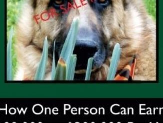 How One Person Can Earn $100,000 to $300,000 Per Year: The Story of Little Farm Kennel Dog Boarding Business Reviews