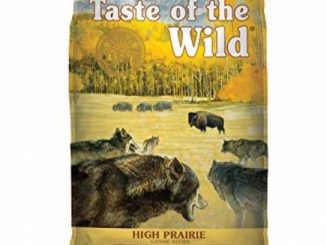 Taste of the Wild High Prairie Grain Free High Protein Real Meat Recipe Natural Dry Dog Food with Real Roasted Bison & Venison 5lb