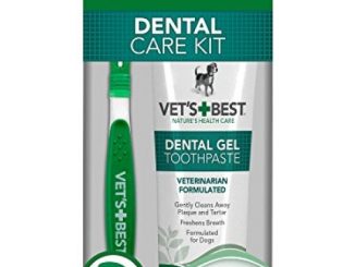 Vet’s Best Complete Enzymatic Dental Care Gel & Toothbrush Kit for Dogs