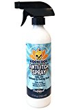NEW Anti Itch Oatmeal Spray for Dogs and Cats | 100% All Natural Hypoallergenic Soothing Relief for Dry, Itchy, Bitten or Allergic Damaged Skin | Vet and Pet Approved Treatment - 1 Bottle 17oz (503ml)