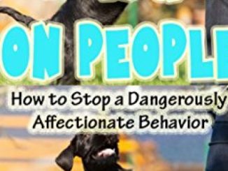Jumping Up On People: How to Stop a Dangerously Affectionate Behavior