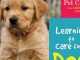 Learning to Care for a Dog (Beginning Pet Care With American Humane)