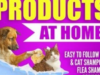 Make All Natural Pet Cleaning Products at Home!: Easy to follow Dog & Cat Shampoo & Flea Shampoo Recipes for Healthy Shiny Pets – Amazing Benefits of Coconut & Olive Oil for your Dog