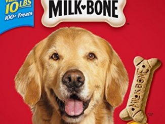 Milk-Bone Original Dog Treats for Large Dogs, 10-Pound