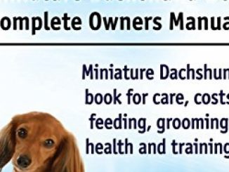 Miniature Dachshund. Miniature Dachshund Dog Complete Owners Manual. Miniature Dachshund book for care, costs, feeding, grooming, health and training.