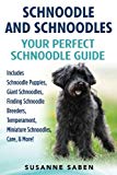 Schnoodle And Schnoodles: Your Perfect Schnoodle Guide Includes Schnoodle Puppies, Giant Schnoodles, Finding Schnoodle Breeders, Temperament, Miniature Schnoodles, Care, & More!