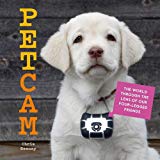 PetCam: The World Through the Lens of Our Four-Legged Friends