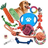 Dog Rope Toys 10 Pack Set Pet Puppy Teething Chew Rope Tug Assortment for Small Medium Large Dogs Breeds