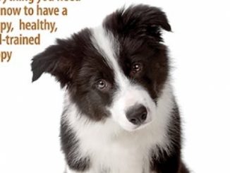 Complete Guide to Puppy Care: Everything You Need to Know to Have a Happy, Healthy Well-Trained Puppy (Animal Planet)