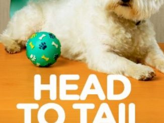 Head to Tail Wellness: A Veterinarian’s Guide To Raising A Healthy Dog (101 Publishing: Pets Series)