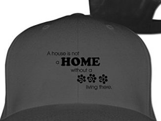 HILLR Home Without Cat Baseball Cap Black