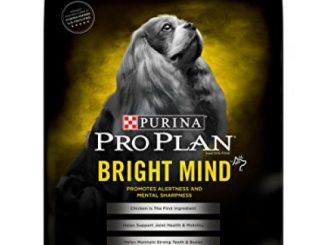 Purina Pro Plan BRIGHT MIND Adult 7+ Small Breed Formula Senior Dry Food – (1) 5 lb. Bag