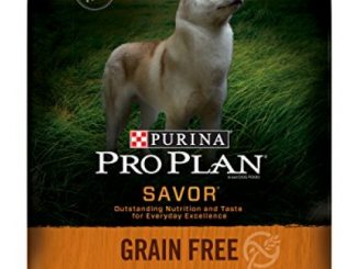 Purina Pro Plan SAVOR Adult Grain Free Shredded Blend Turkey & Chicken Formula Dry Dog Food – (1) 12 lb. Bag