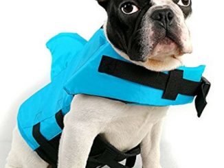 Snik-S Dog Life Jacket- Preserver with Adjustable Belt, Pet Swimming Shark Jacket for Short Nose Dog,Upgrade Version (pug,Bulldog,Poodle,Bull Terrier) (M, Blue) Reviews