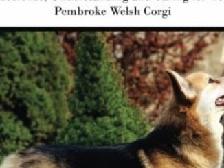 The Pembroke Welsh Corgi: A Complete and Comprehensive Owners Guide to: Buying, Owning, Health, Grooming, Training, Obedience, Understanding and … to Caring for a Dog from a Puppy to Old Age)