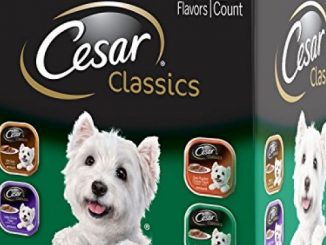 Cesar CANINE CUISINE Wet Dog Food Poultry Variety Pack, (Pack of 24) 3.5-oz Trays Reviews
