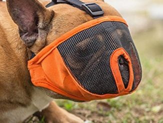 Dog Muzzles for Short Snout Dog, Breathable Mesh Dog Muzzle for Bulldog and Short-snouted Breeds to Anti-biting, Barking and Licking (XL, Orange) Reviews