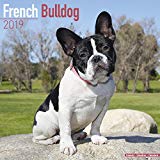 French Bulldog Calendar - Dog Breed Calendars - 2018 - 2019 Wall Calendars - 16 Month by Avonside