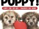 I Love My Puppy! | Puppy Care for Kids | Children’s Dog Books