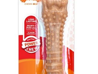 Nylabone Power Chew DuraChew Bacon Bone Dog Chew Toy, X-Large Reviews