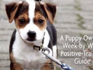 Puppy Training: Owner’s Week-By-Week Training Guide (Training Book Series)