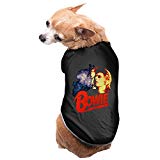 David Bowie Retro Pet Supplies Dog Jackets Custom Cheap Dog Clothes by HHZaDi