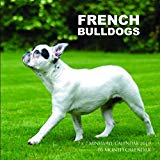 French Bulldogs 7 x 7 Mini Wall Calendar 2019: 16 Month Calendar