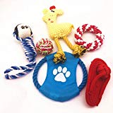 Jooee Dog Chew Toys [6Pack] with Squeaky Chicken，Hand Picked Promotes Healthy Chewing While Keeping Great for Teething Puppies