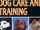 American Kennel Club Dog Care and Training