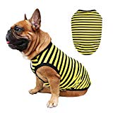 iChoue Dog Clothes Vest Tee Shirt for French Bulldog Pug Boston Terrier Frenchie- L Yellow Black Stripe