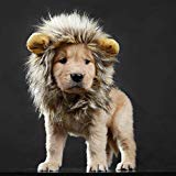 lcfun Lion Mane Costume for Cat Puppy - Pet Wig with Ears, Cat Clothes for Halloween Party