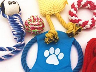 Jooee Dog Chew Toys [6Pack] with Squeaky Chicken，Hand Picked Promotes Healthy Chewing While Keeping Great for Teething Puppies