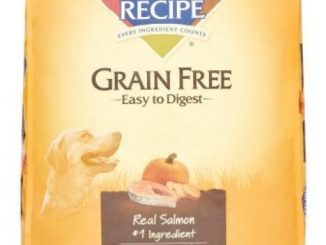 Nature’s Recipe Grain Free Easy to Digest Salmon, Sweet Potato & Pumpkin Recipe Dry Dog Food, 24 lb