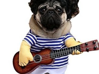 Teddy Dog Halloween Costume Cute Funny Pet Guitar Player Dress up Party Clothes, M
