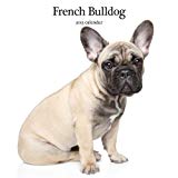 Magnet & Steel French Bulldog Modern Wall Calendar