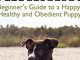Dog Training: Beginner’s Guide to a Happy, Healthy and Obedient Puppy (Dog training guide, puppy training, dog grooming, dog beds, dog tricks, puppies, puppy training for beginners)