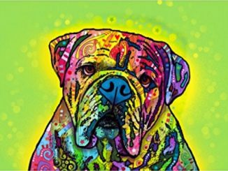Drymate Pet Placemat, Dean Russo Designs, Dog Food Mat, Cat Food Mat, Zorb-Tech Anti Flow Technology for Surface Protection (USA Made) (16″ x 28″, Hey Bulldog) Reviews