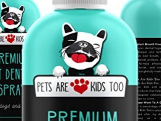 Premium Pet Dental Spray (Large – 8oz): Best Way To Eliminate Bad Dog Breath & Bad Cat Breath! Naturally Fights Plaque, Tartar & Gum Disease Without Brushing! Spray In Mouth or Add to Water! (1 Pack)