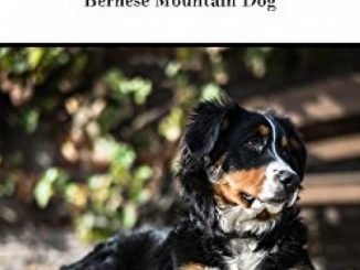 The Bernese Mountain Dog: A Complete and Comprehensive Owners Guide to: Buying, Owning, Health, Grooming, Training, Obedience, Understanding and Caring … Caring for a Dog from a Puppy to Old Age) Reviews