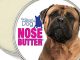 The Blissful Dog Bullmastiff Nose Butter, 8-Ounce