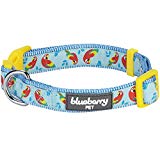 Blueberry Pet 7 Patterns Statement Funny Parrot Designer Dog Collar, Medium, Neck 14.5