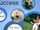 ALL ABOUT DOG DAYCARE: A BLUEPRINT FOR SUCCESS, 2ND EDITION Reviews