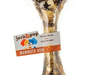 Jack&Pup Premium Grade Roasted Meaty Beef Mammoth Femur Bone Dog Treat – 16” Giant Dog Bone – All Natural Gourmet Dog Treat Chew – Savory Smoked Beef Flavor Reviews