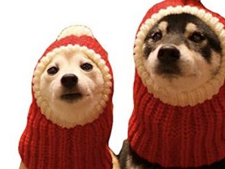 NACOCO Funny Christmas Dog Hat wiht Pompon Crocheted Snood Dog Hat Red Warm Winter Dog Hat Knit Snood Headwear for Pets & Women & Man (S)