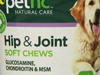 PetNC Natural Care Hip and Joint Soft Chews for Dogs, 90 Count – 27591