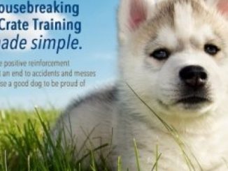 Puppy Training: Raising the Perfect Puppy (A Guide to Housebreaking, Crate Training & Basic Dog Obedience)