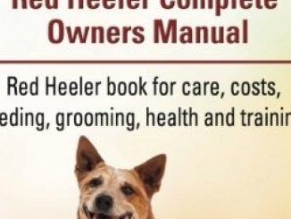 Red Heeler Dog. Red Heeler dog book for costs, care, feeding, grooming, training and health. Red Heeler dog Owners Manual.