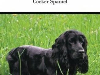 The Cocker Spaniel: A Complete and Comprehensive Owners Guide to: Buying, Owning, Health, Grooming, Training, Obedience, Understanding and Caring for … to Caring for a Dog from a Puppy to Old Age)