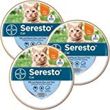 Bayer Animal Health Seresto Flea and Tick Collar for Cats, All Weights and Sizes, 8 Month Protection (3-Pack), Gray