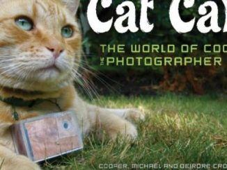 Cat Cam: The World of Cooper the Photographer Cat